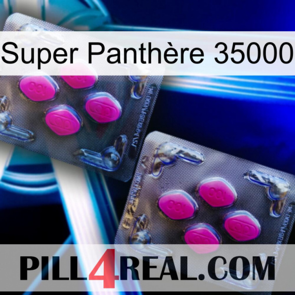 Super Panthère 35000 01.jpg